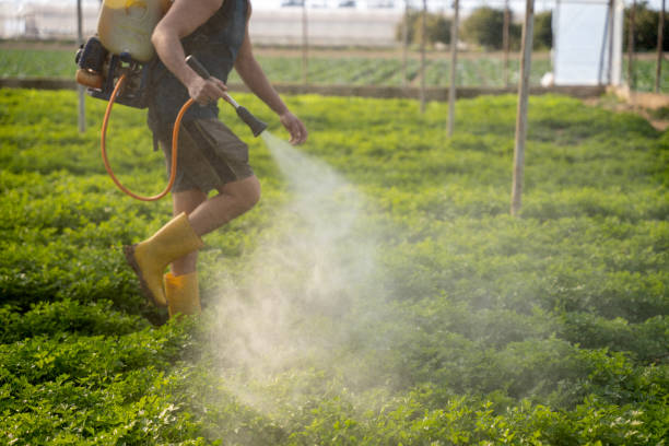 Best Pest Prevention Services  in Mooresville, IN