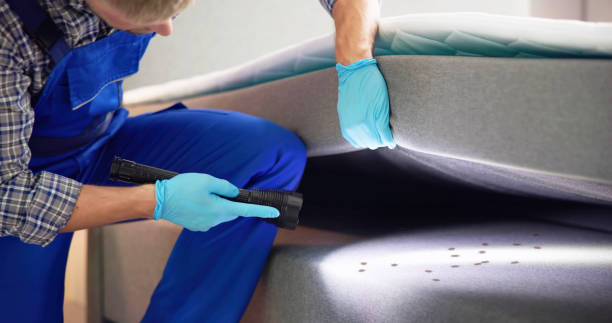 Best Wasp Removal Services  in Mooresville, IN