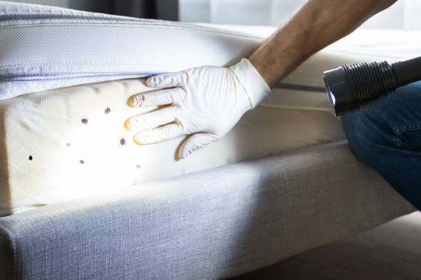 Best Bed Bug Extermination  in Mooresville, IN